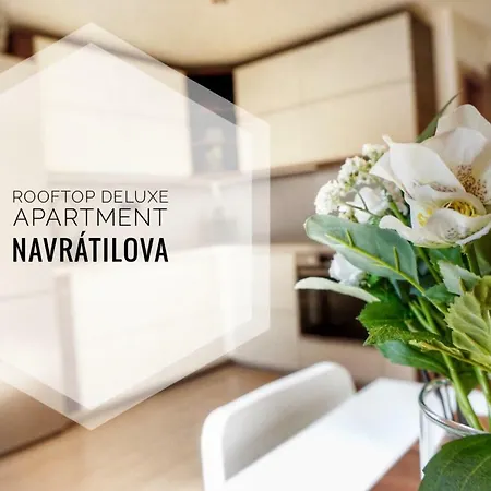 Rooftop Deluxe Apartment *