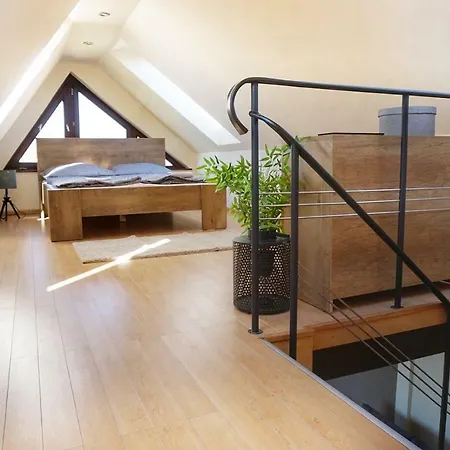 Apartment Rooftop Deluxe *