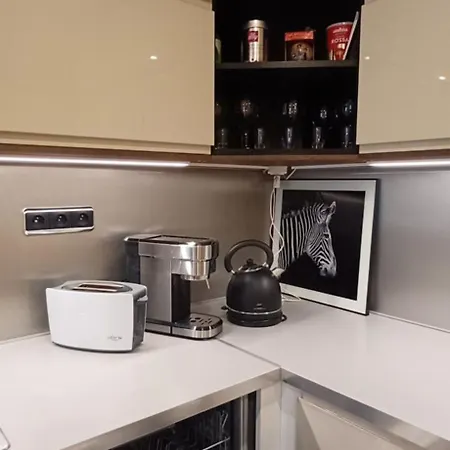 Apartment Prague Old Town Rooftop Sauna & Terrace Apartment Prague